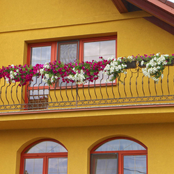 A wrought iron exterior railing