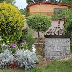 A wrought iron well cover